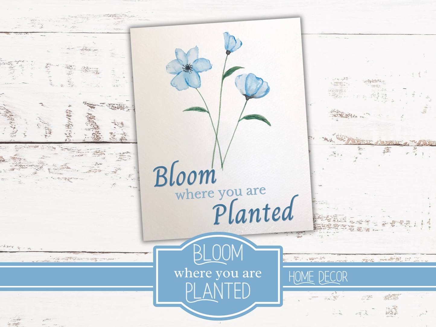 Bloom Where You Are Planted